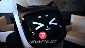 Jasmine Palace Gallery